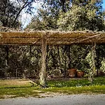 Mas Dalia - - Girona - Monells, Emporda Monells