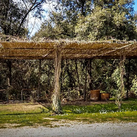 Mas Dalia - - Girona - Monells, Emporda מונלס