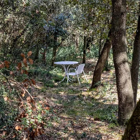 Vila Mas Dalia - - Girona - Monells, Emporda